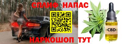 молекула духа Тверь