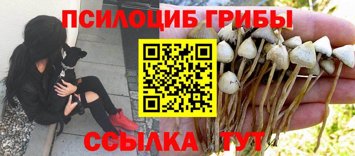 Мариинск  Псилоцибиновые грибы MAGIC MUSHROOMS  Вход с VPN  Галлюциногенные грибы прущие грибы 